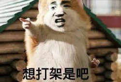 搞笑吵架吃瓜,一场搞笑吵架引发的吃瓜盛宴