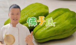 广西佛手瓜怎么吃,广西佛手瓜的多样食法探索