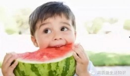 混血雄子吃瓜日常,瓜田里的欢乐日常