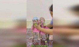 呆萌吃瓜图,萌宠趣味瞬间，萌态可掬引网友热议