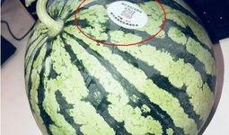 玉溪网红吃瓜,揭秘幕后故事与热门话题