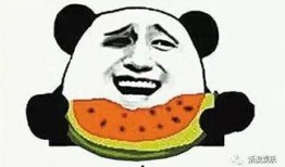 吃瓜看猛料,吃瓜看猛料，揭秘明星幕后故事