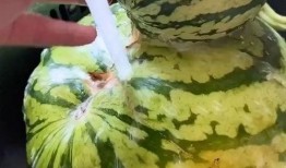 吃瓜搞笑音效视频,揭秘吃瓜搞笑音效视频背后的欢乐秘密