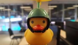 小黄鸭吃瓜直播,揭秘娱乐圈幕后故事