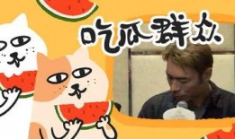 吃瓜群聊名,揭秘吃瓜群聊背后的趣味与热议