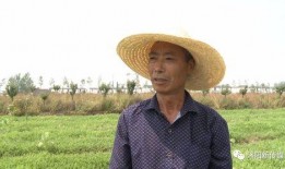 沭阳吃瓜群众案件,网络舆论下的法律边界探讨