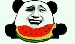 文明吃瓜视频,品味生活百态——揭秘吃瓜视频背后的文化现象