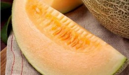 雨里吃瓜,一场别开生面的夏日盛宴