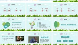 吃瓜ppt事件分享,揭秘网络舆论的风暴与反思