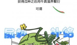 吃瓜群众的历史