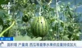 还有吃瓜的吗
