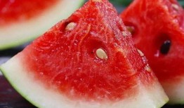 搜索吃瓜图片,趣味图片大集合