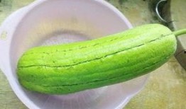 这瓜怎么做着吃,创意“这瓜”美食制作攻略