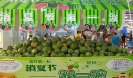 快乐吃瓜小店,舌尖上的欢乐时光