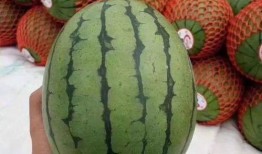 浅聊吃瓜,揭秘娱乐圈背后的那些事儿