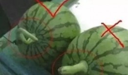 怎样拍吃瓜,捕捉夏日清凉时光