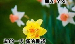 早安吃瓜人,揭秘娱乐圈的甜蜜与苦涩