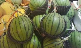 吃瓜长出蘑菇,揭秘神奇的自然生长之旅