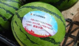 南通海门吃瓜,夏日炎炎，瓜香四溢的美食之旅