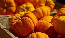 神瓜老了怎么吃,探索传统美食的无限可能