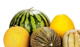 吃瓜老啥意思,网络热词背后的文化现象