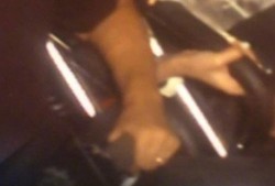 吃瓜生男孩女孩