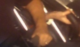 吃瓜生男孩女孩