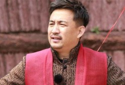 外网吃瓜何炅黄磊,娱乐圈风云再起